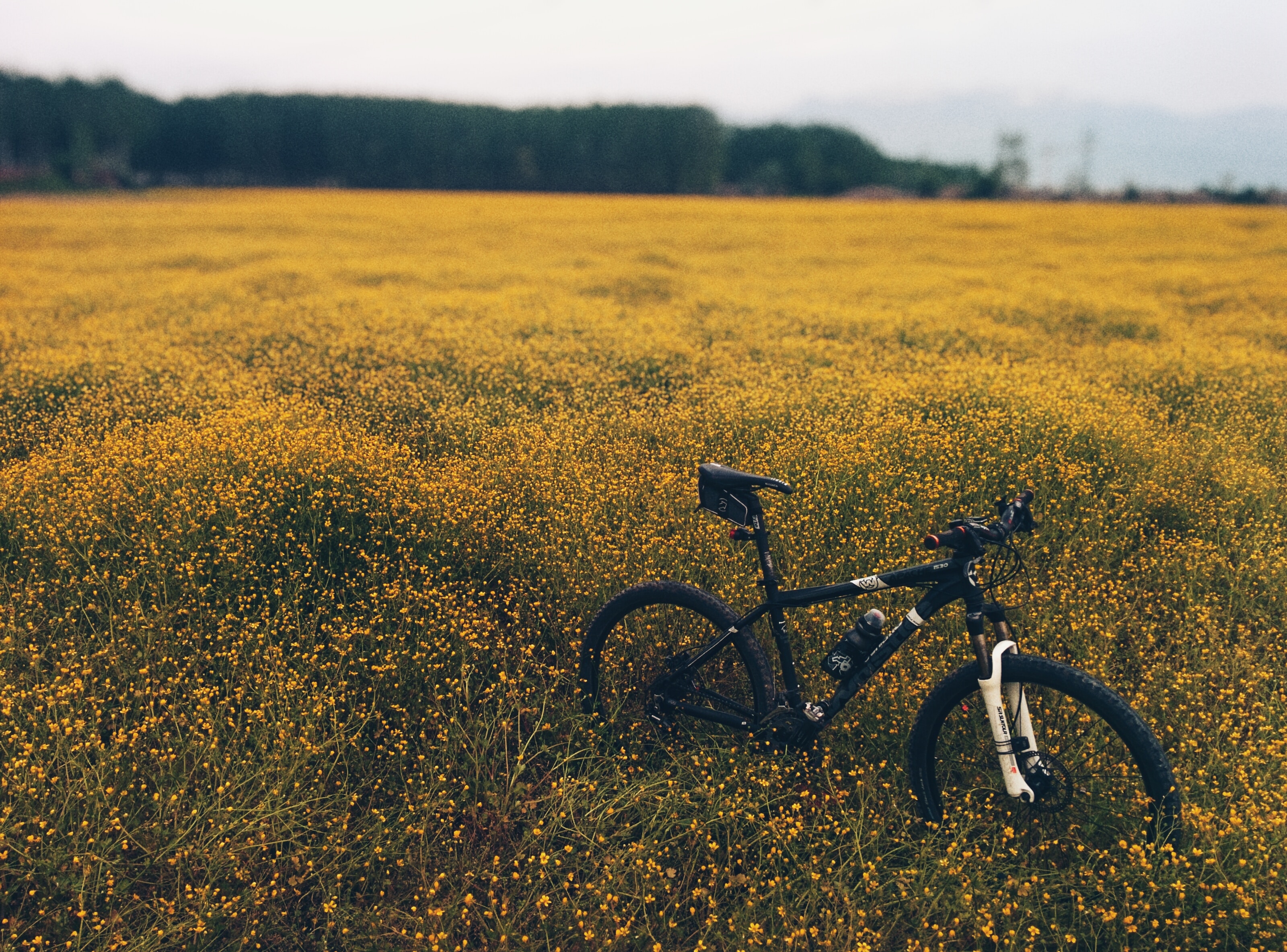 De biologische klok herstellen met lichaamsbeweging buiten, green exercise