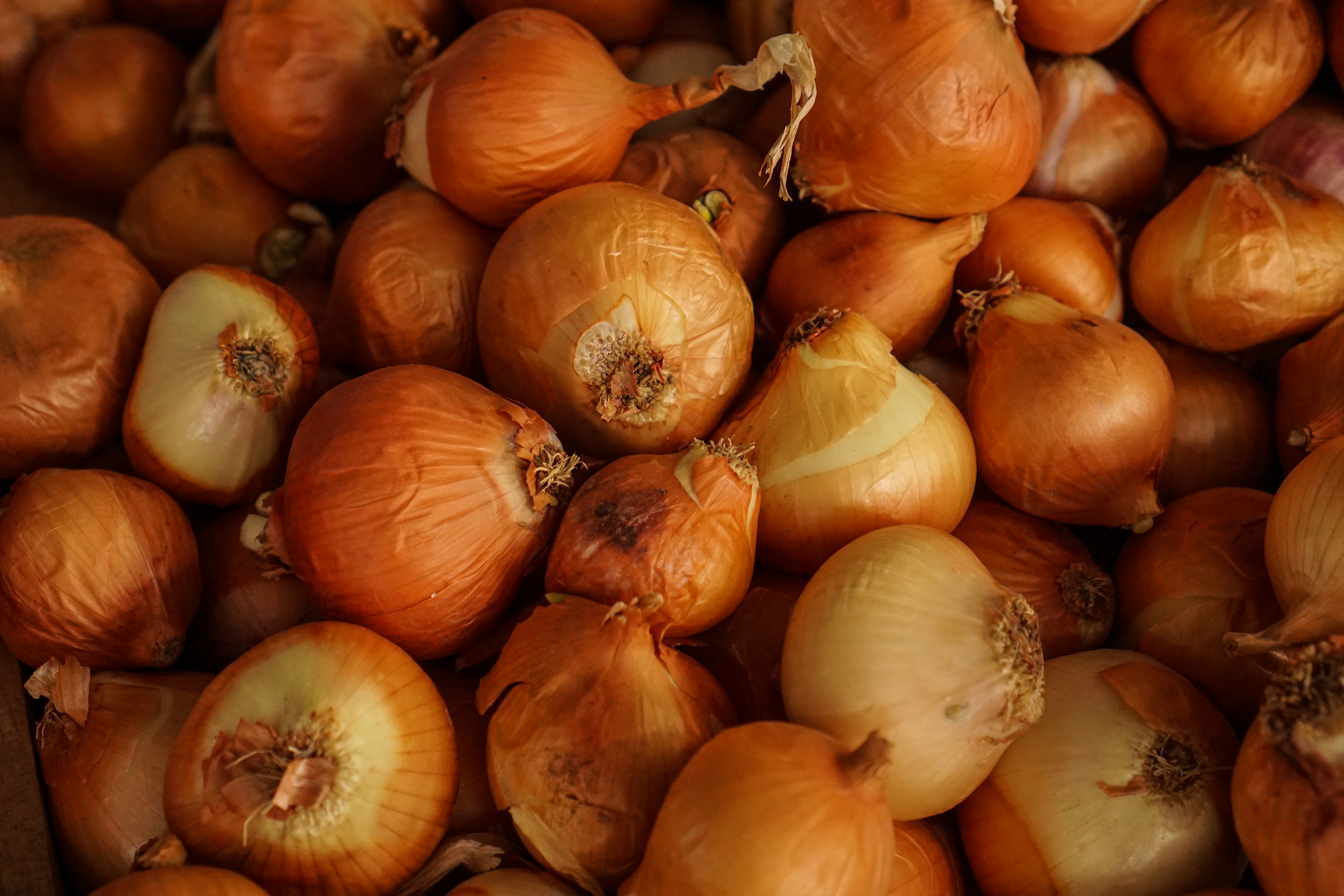 Natuurlijke remedie ui