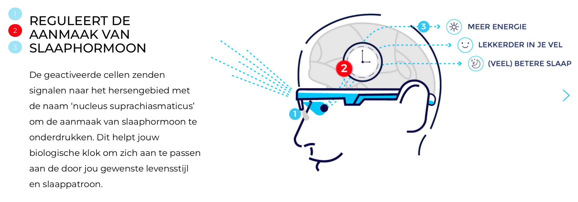 de biologische klok en ons welzijn, lichttherapie AYOlite