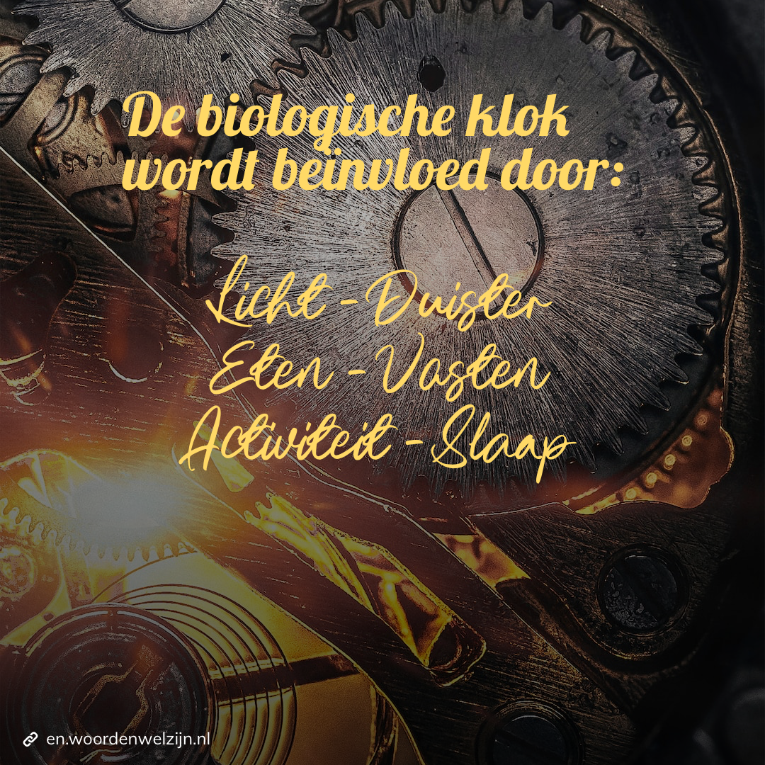 De biologische klok en ons welzijn, omgevingsfactoren