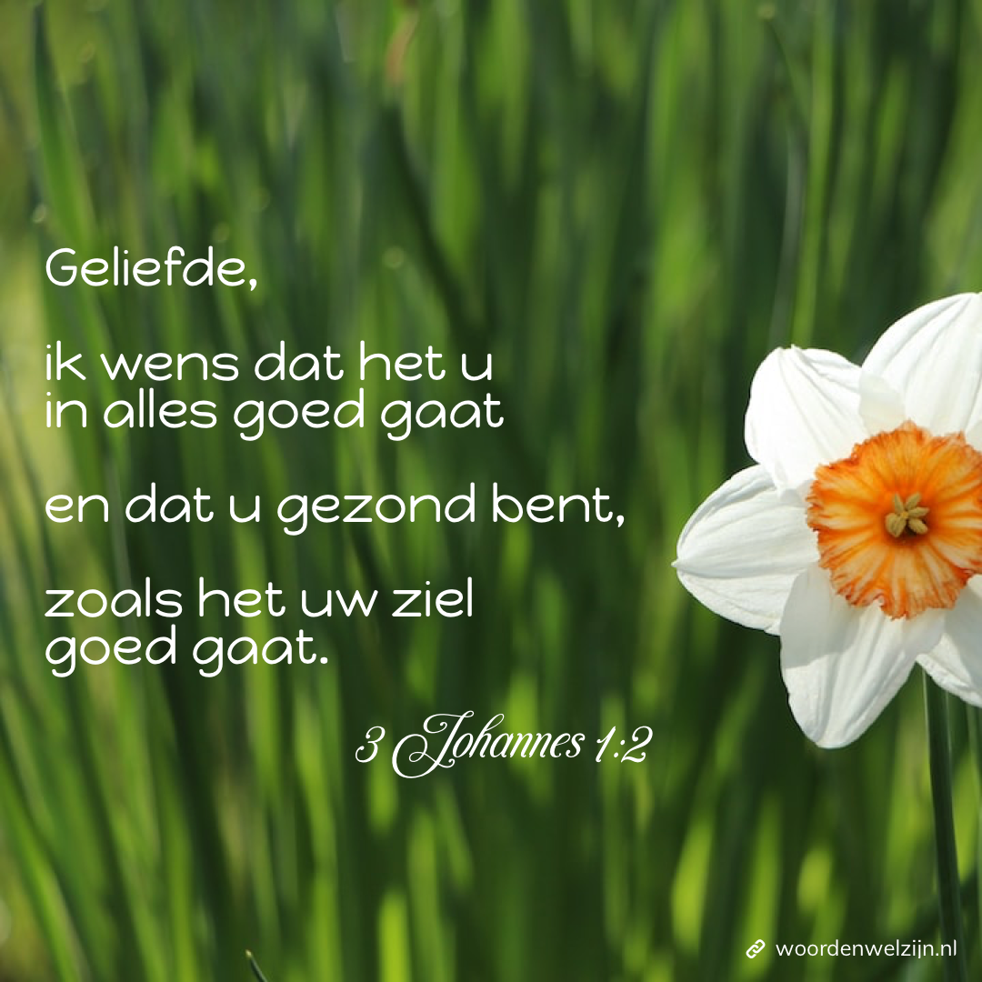 Bemoedigende Beloftes Bijbelteksten bij gezondheid en ziekte gratis download. 3Joh1:2, 3 Johannes 1:2 geliefde, ik wens dat het u in alles goed gaat en dat u gezond bent, zoals het uw ziel goed gaat.