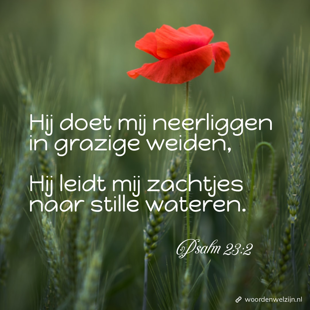 Bemoedigende beloftes deel 2 - God luistert en leidt. Bijbelteksten gratis download. Psalm 23:2