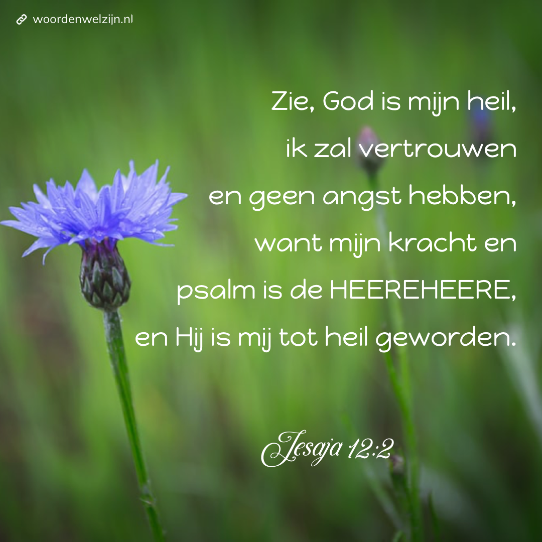 Bijbeltekst Jesaja 12:2, gratis download bemoedigende beloftes deel 3, genade, God zorgt voor ons , kracht