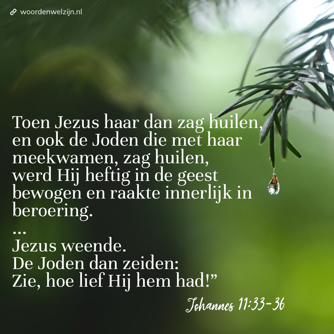 Huilen in de Bijbel, Jezus weende huilt Johannes 11:33-36