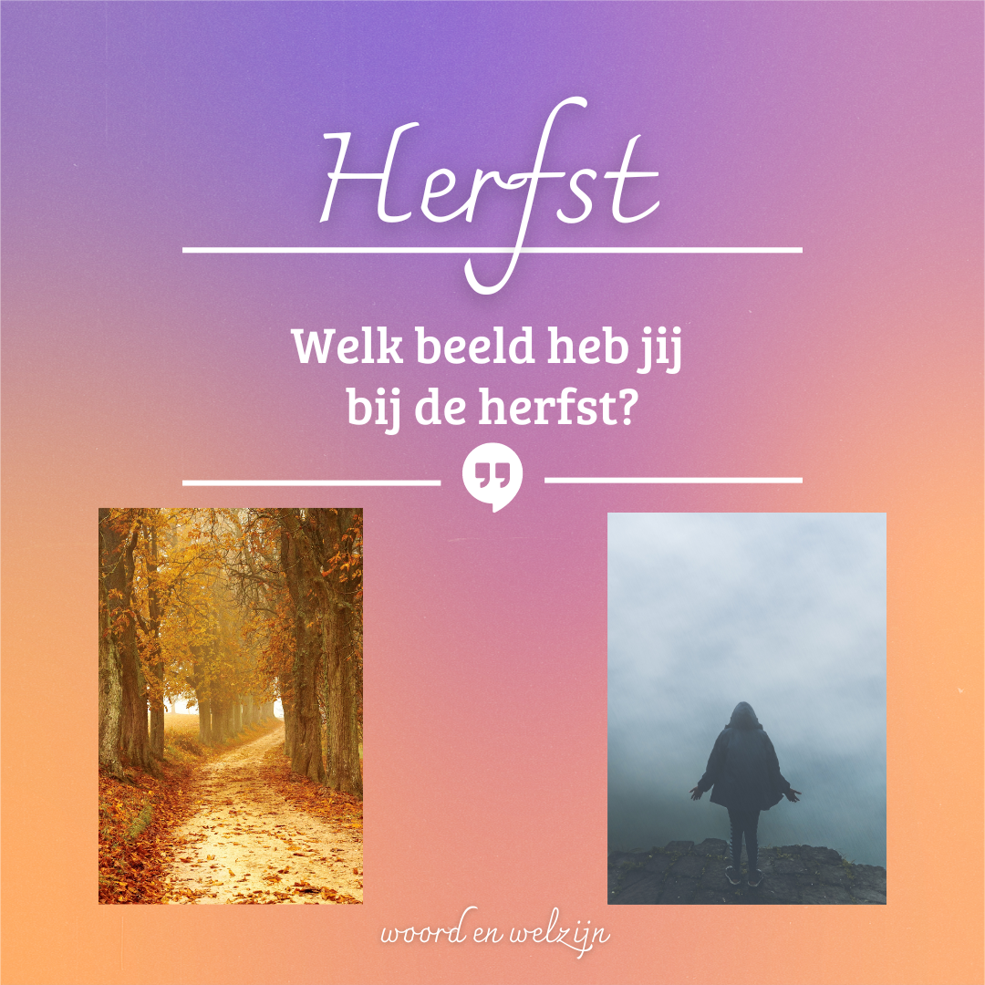 ontdek de oorzaak van een herfstdip, licht in de herfst, lichtintensiteit, lux najaar lichttherapie