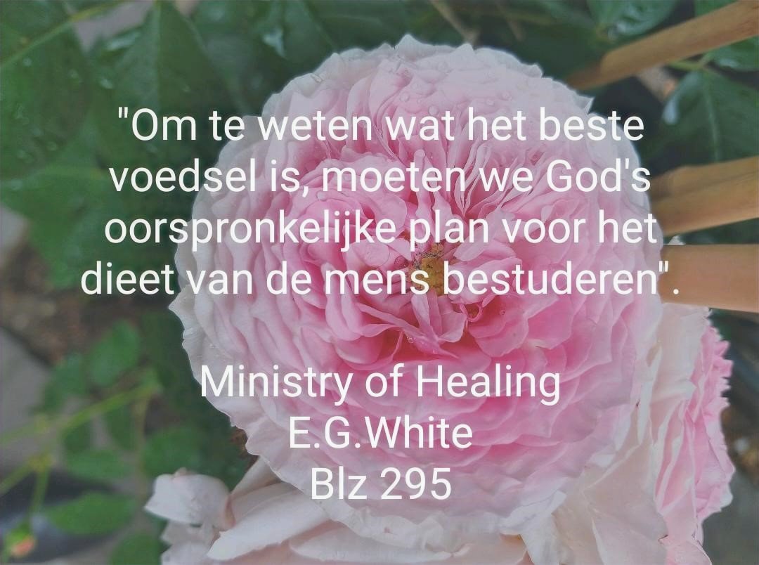 Quote - Het beste voedsel
