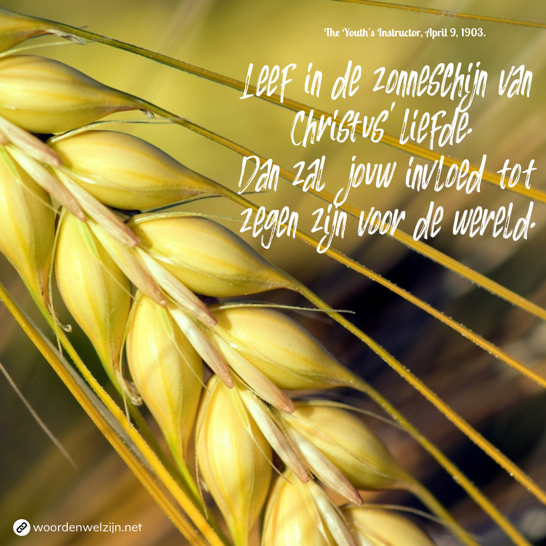 Quote - Zonneschijn van Christus liefde