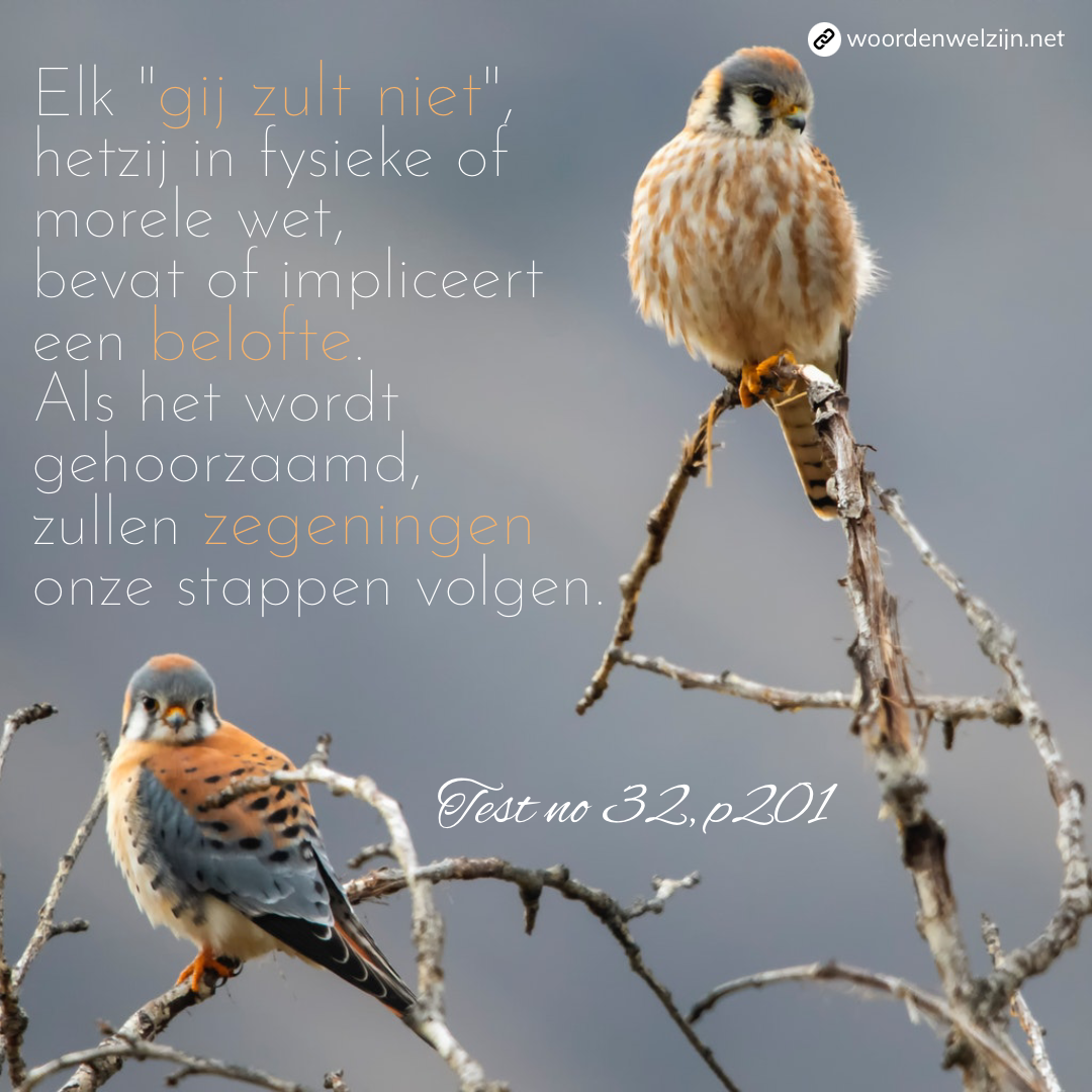 Gij zult niet Testimonies no 32, p201 Ellen White