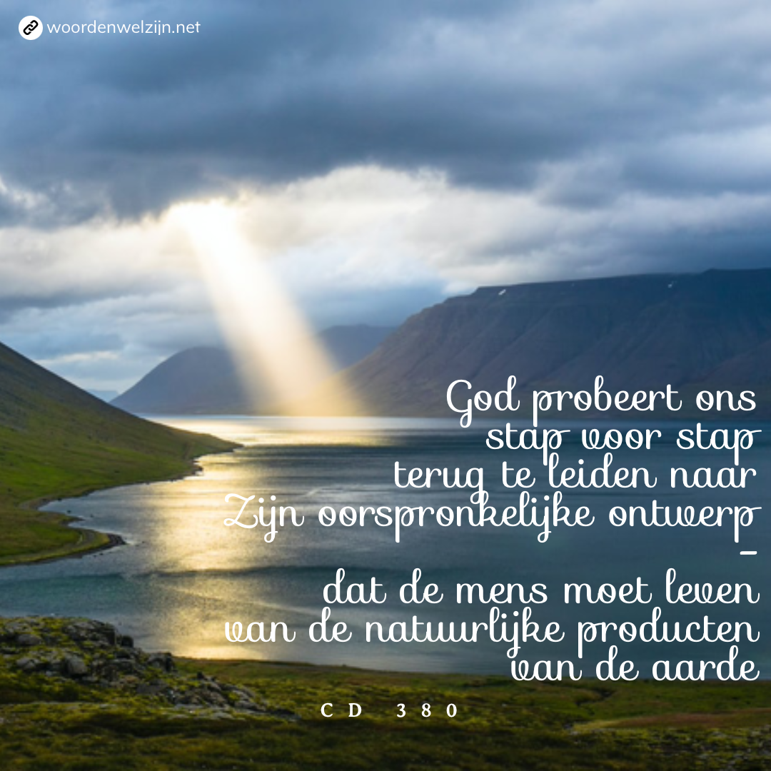 Quote - Zijn oorspronkelijke ontwerp